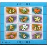 Orkidéer. Rumania. 1988. to miniark AFA nr. 4334-4335 **