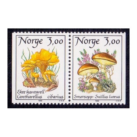 Norge. 1989. Spiselige svampe i parstykke AFA nr. 1010Cv-11Ch ** stemplet postfrisk FDC