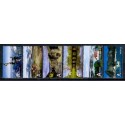 Norge. 2007. Turistfrimærker.  AFA nr. 1603-08  ** stemplet postfrisk FDC