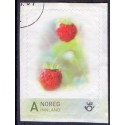 Norge. 2007. Personligt frimærke. Jordbær.  AFA nr. 1616  **  stemplet postfrisk FDC