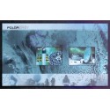 Norge. 2007. International polarår, miniark.  AFA nr. 1597-98  **  stemplet postfrisk FDC