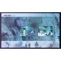 Norge. 2007. International polarår, miniark.  AFA nr. 1597-98  **  stemplet postfrisk FDC