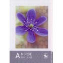 Norge. 2009. Personligt frimærke. AFA nr. 1674 **  stemplet postfrisk FDC