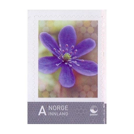 Norge. 2009. Personligt frimærke. AFA nr. 1674 **  stemplet postfrisk FDC