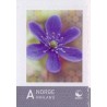 Norge. 2009. Personligt frimærke. AFA nr. 1674 **  stemplet postfrisk FDC
