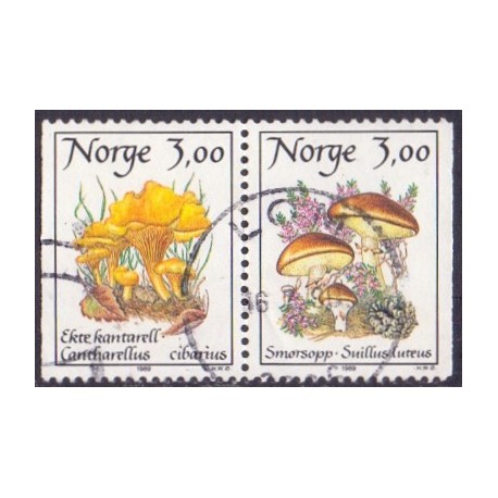 Norge. 1989. Spiselige svampe i parstykke AFA nr. 1010Cv-11Ch ** stemplet postfrisk FDC