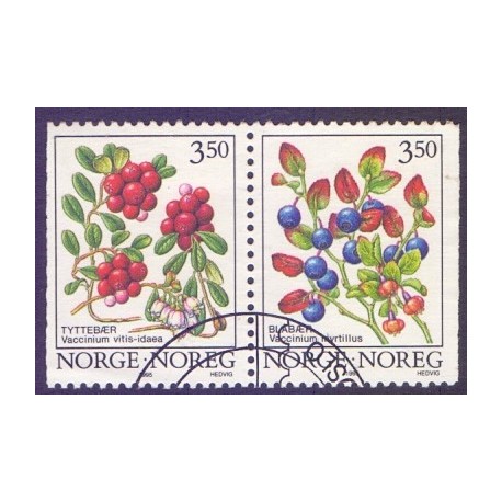 Norge. 1995. Skovbær i parstykke. AFA nr. 1170Cv-71Ch **  stemplet postfrisk FDC