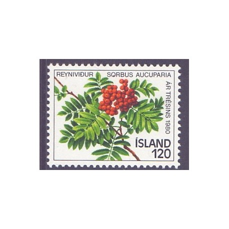 Island. 1980. Træets år. AFA nr. 555 **   postfrisk st. stemplet FDC