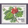 Island. 1980. Træets år. AFA nr. 555 **   postfrisk st. stemplet FDC
