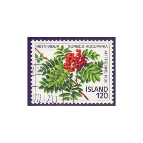 Island. 1980. Træets år. AFA nr. 555 **   postfrisk st. stemplet FDC