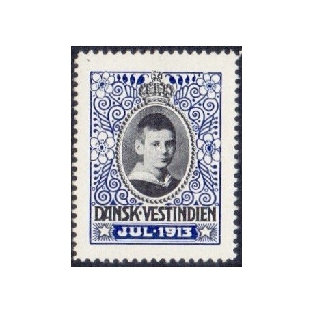 DWI. Julemærke 1913 **, st. brev/cover