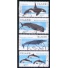 Island. 1999. Havpattedyr. AFA nr. 890-93 ** postfrisk st. stemplet FDC