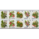 Sverige. 1977. Vilde bær, hæfte/blok AFA nr. 997Ch-1001Ch **     postfrisk stemplet FDC st,