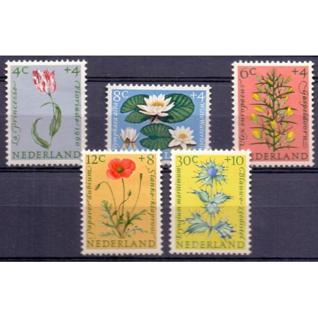 Blomster. Rumania. 1984. AFA nr. 3962-67 **