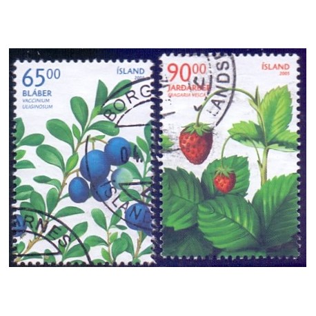 Island. 2005. Vilde bær. AFA nr 1091-92 **    stemplet FDC