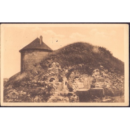8800. Viborg. Hald Ruin. St København (Stender 26629)