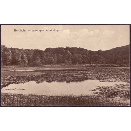 3700. Bornholm. Aaremyre, Almindingen, ubrugt (Sørensen 720)