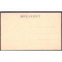 8800. Viborg. Oldsagersamlingen, ubrugt (?)