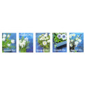 2017. Vinterblomster, AFA nr. 1916-20, postfrisk Stemplet FDC