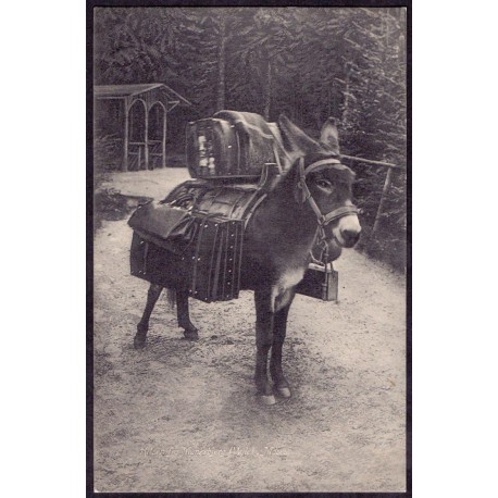 7100. Hilsen fra Munkebjerg (Vejle) "Moses",  ubrugt (C. Neuman25456)