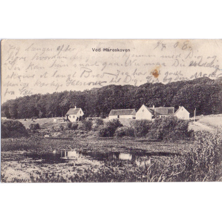 Hareskoven. Ved, brugt (Alstrup)