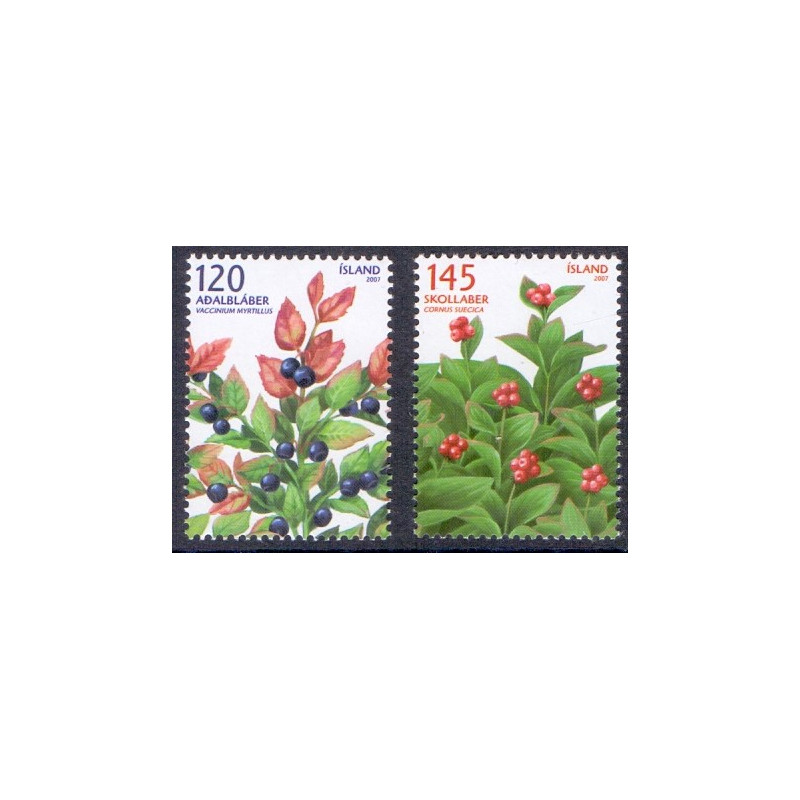 Island. 2007. Vilde bær. AFA nr. 1156-57  **     stemplet FDC