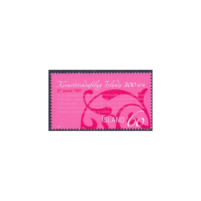 Island. 2007. Kvinderetsforening. AFA nr. 1134 **      stemplet FDC