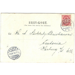 Børnehjælpsdagen 1904 med prins Christian. Albion Camera Co