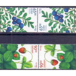 Island. 2005. Vilde bær. AFA nr 1091-92 i par Tête-Bêche **    stemplet FDC