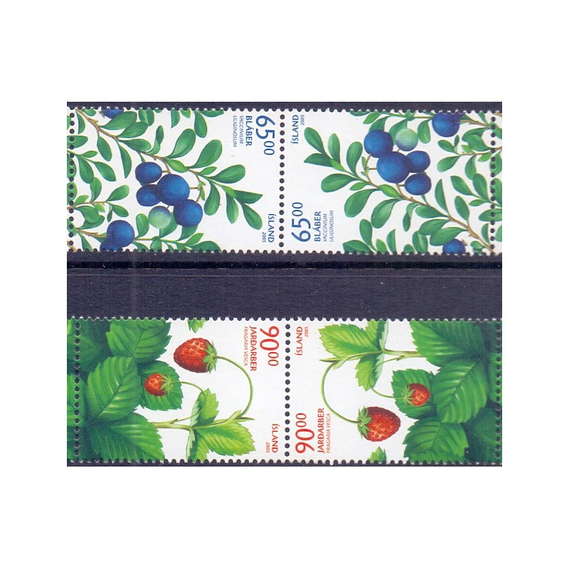 Island. 2005. Vilde bær. AFA nr 1091-92 i par Tête-Bêche **    stemplet FDC