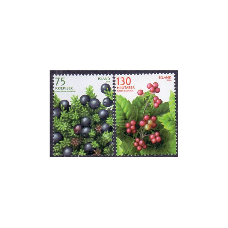 Island. 2006. Vilde bær. AFA nr. 1121-22 **   stemplet FDC