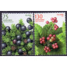 Island. 2006. Vilde bær. AFA nr. 1121-22 **   stemplet FDC