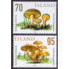 Island. 2006. Svampe V. AFA nr. 1128-29 **       stemplet FDC