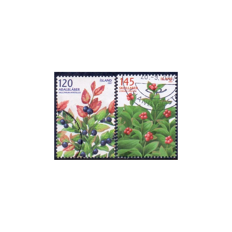 Island. 2007. Vilde bær. AFA nr. 1156-57  **     stemplet FDC