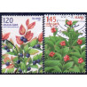 Island. 2007. Vilde bær. AFA nr. 1156-57  **     stemplet FDC