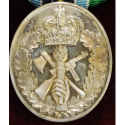 Medalje i sølv, for 25 års frivillig tjeneste i Hjemmeværnet.