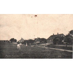8200. Aarhus. Fra Marselisborg skov, brugt (H.H.O 4933)