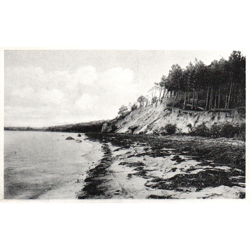 Melbjerg. Oreby Skov, ubrugt (Thunes)