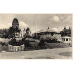 Svanninge Bakker. Skovlyst, ubrugt (OP)