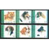 Finland. 2008. Hunderacer, sammentryk. AFA nr. 1927-32 **          ,       postfrisk stemplet