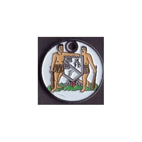 Vognpolet/coincart "Info@fba.dk" 20kr./2€ str.