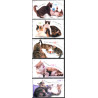 Tyskland. 2004. Katte. AFA nr. 3326-30 **  (o)