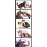 Tyskland. 2004. Katte. AFA nr. 3326-30 **  (o)