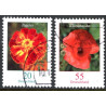 Tyskland. 2005. Blomster. AFA nr. 3390-91 **        (o)