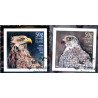 Island. 2019. Europa. Fugle. AFA nr. 1564-65 **        (o)  stemplet FDC