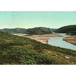 Grønland. Græssende rensdyr, Søndre Strømfjord, KGH 137, brugt