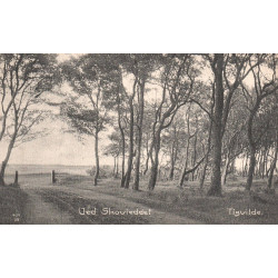 TIDSVILDELEJE. STJ II. Skilling. 1364