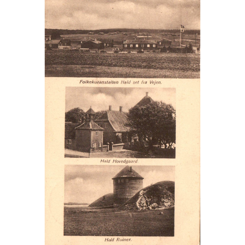 8800. Viborg. Fra Hald sø (?)