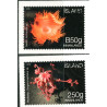 Island. 2016. Havbundens Flora og fauna. AFA nr. 1480-81 **     (o)  stemplet FDC