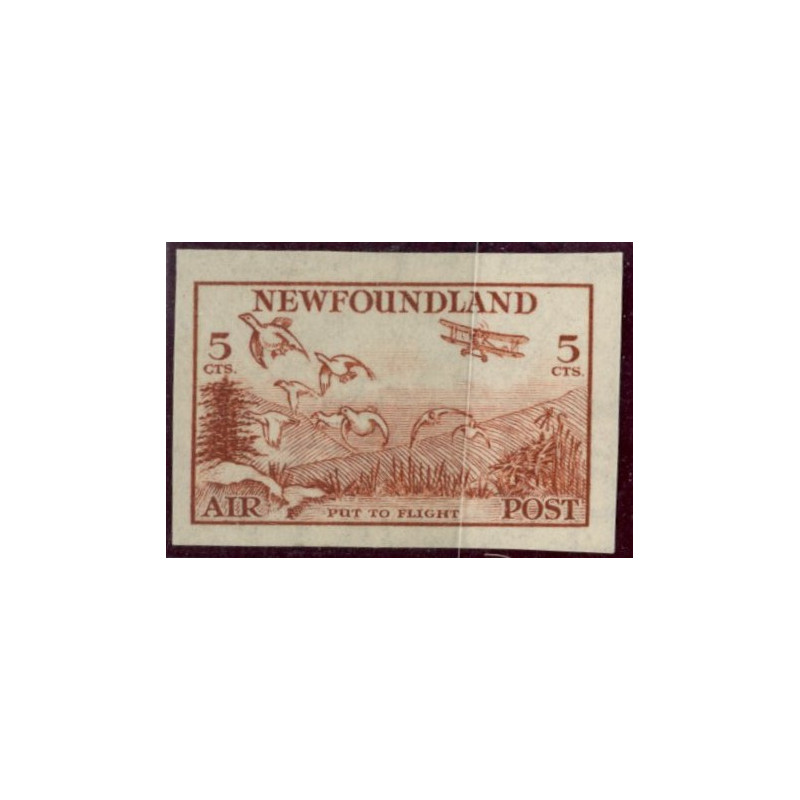 NEWFOUNDLAND. 1933. Luftpostmærke utakket Michel nr. 194U *